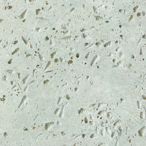 Conch Travertine surface texture